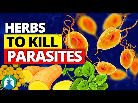 🌱Top 10 Best Herbs for Parasites (Natural Detox and Cleanse)