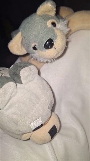 Guinea pigs vs the wolves!