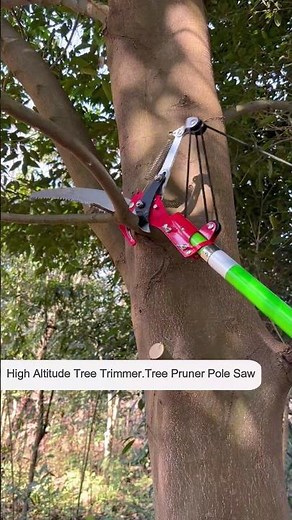 High Reach Telescopic Tree Pruner | Tree Pole Pruner #shorts