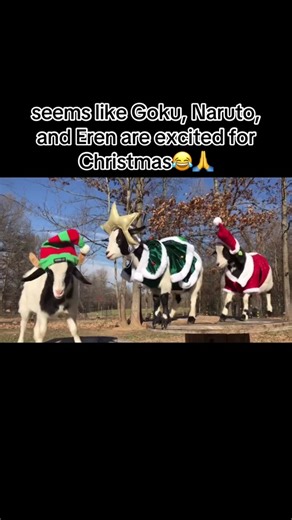 Goku, Naruto, and Eren's Excitement for Christmas