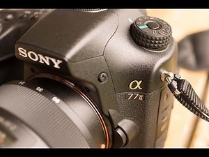 Fotografieren mit der Sony SLT Alpha 77 II: Kurzes Review