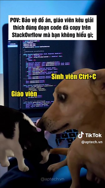 Aptech VN Programming Memes Explained in a Hilarious Way