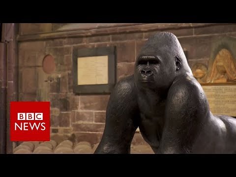 How Contemporary sculptures are made? - BBC News