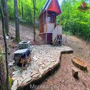 54K views · 927 reactions | Building a Country Cabin in the Forest with Hand Tools #camper #adventure #outdoors #camping #offgrid #jungle #cabin #AdventureTravel #skills #survival #bushcrafting #OutdoorLiving #bushcraft #snow #underground #cabinlife #foryouシ | Monika TaZ | Facebook