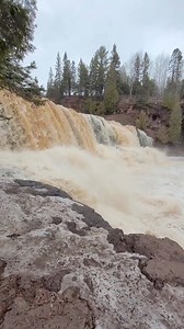 13K views · 313 reactions | Springtime calls for a road trip to...