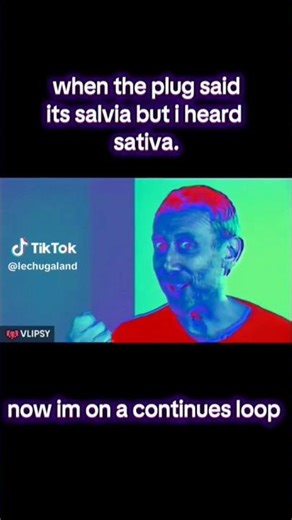 #comedy #cosplay when the plug said its salvia but i heard sativa. now im on a continues loop VLIPSY