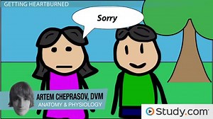 Specific Motility Disorders of the GI Tract