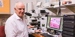 Bone healing research shows promise in treating malignant cancers | Newswise