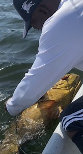 Pesca pesada 🐟🎣💪🇨🇴 | Joel cortes