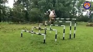 47K views · 2.4K reactions | Sh. Bhaskar Jyoti Mahanta, DGPAssamPolice , spent a day with Recruit Constables trainees to boost their morale, who are undergoing rigorous training. The extensive training module is a testimony to Assam Police's commitment of creating a team, ready for all the challenges. | Assam Police | Facebook