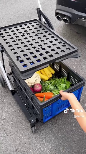 Make Grocery Trips a Breeze with our Foldable Shopping Cart!