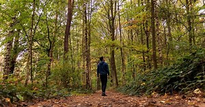 9 leuke dingen om te doen in Louvain-la-Neuve en omgeving