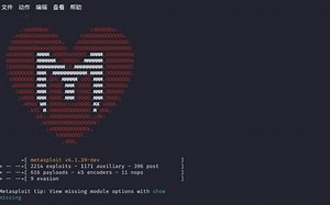 关于Metasploit渗透安卓10.0以上的手机