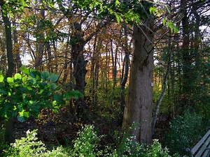 Women And Wilderness Survival Update