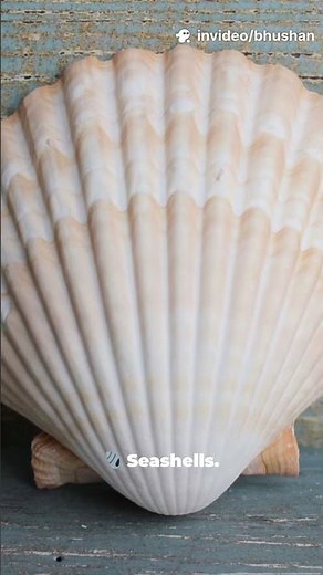 👉 This Number Pattern Controls Nature 🤯#Fibonacci Series is everywhere! #Shorts #MathMagic