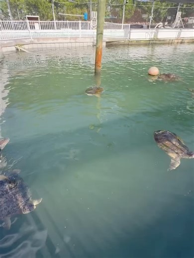 Sarah Baeumler on Reels