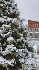 ❄️ What a special kick off to Hometown Christmas - the Town of Stuart’s first snow of the season! 🎄 The Grand Illumination is still set for 6 PM tonight, and we’d love to see you—only if you can travel safely. We know road conditions vary across the county, so please use your best judgment. 🛍️ Main Street will be open and our hometown shops are cozy, welcoming, and excited to serve you tonight! Naanstop, our new restaurant featuring Indian Cuisine will also be having its grand opening today! H