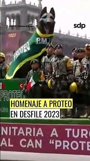 Proteo 🐶, el perrito rescatista que murió en Turquía 😭, recibió homenaje en el desfile militar 2023