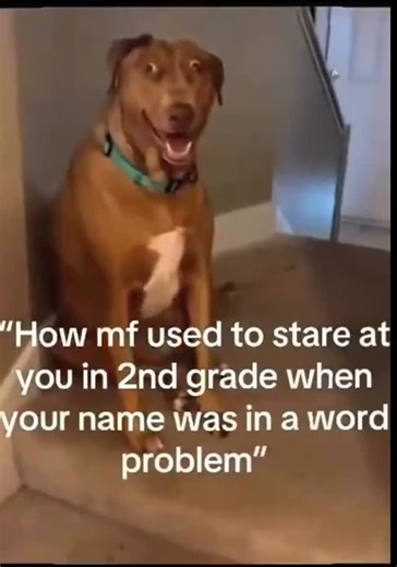 memes on Instagram: "That awkward moment when your name pops up in a 2nd-grade math problem and everyone stares 🐶"
