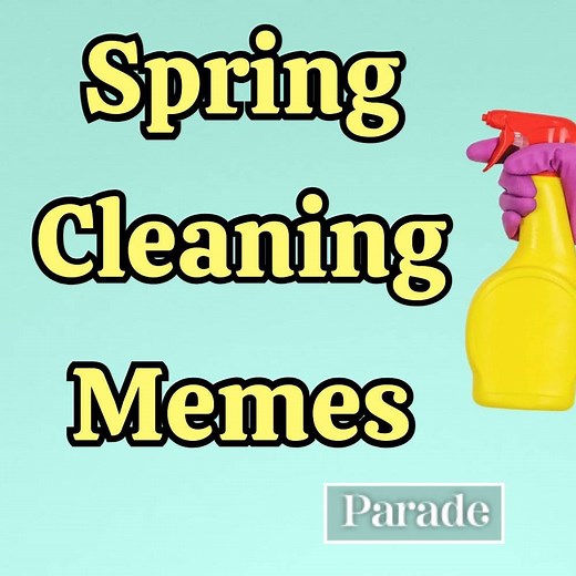 28 Funny Spring Cleaning Memes That Will Make You LOL
