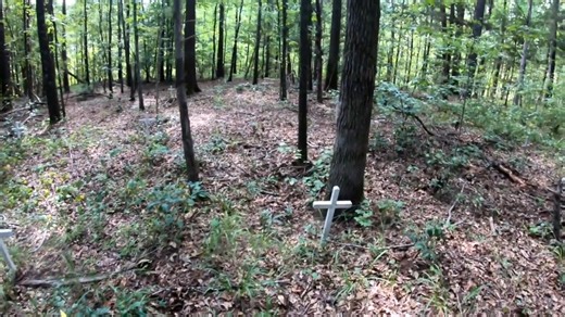 Watch what happened at the saddest slave cemetery we’ve ever found