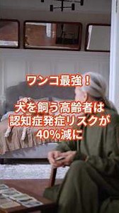 犬を飼うと認知症予防になる！発症リスク4割減 #shorts #犬 #認知症 #健康 #猫 #研究