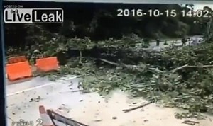 Security checkpoint is attacked! | WTF Did I Just Watch?