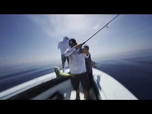 The Secret's Out About SiriusXM Marine's Fish Mapping (archive)