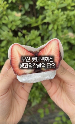 부산 서면 롯데 팝업 스토어: 생과일 찹쌀떡