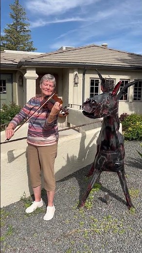 🎻 “Pegasus in Castle Rock” – Original Violin Composition