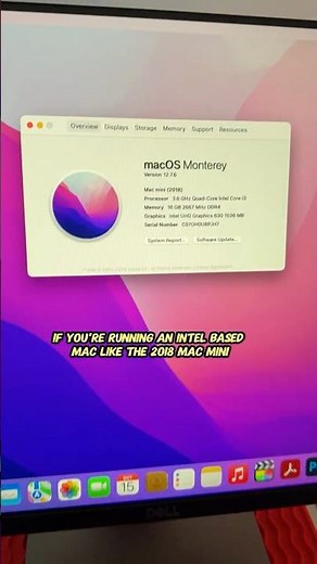 How to Get the Best Performance on Intel Macs 💻 | Why macOS Monterey Still Wins