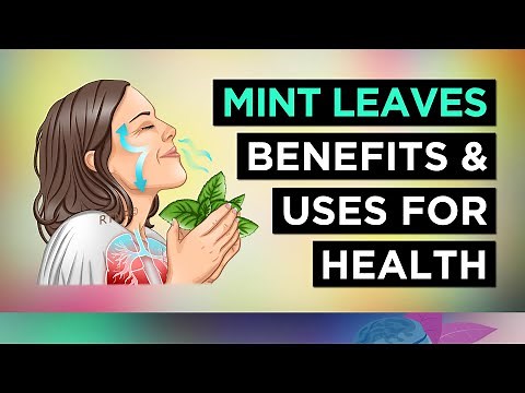 10 Benefits of MINT LEAVES (and Uses)