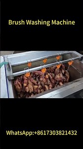 Sweet Potato Brush Washing and Peeling Machine Working Process