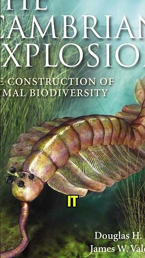 The Cambrian Explosion: Life's Big Bang