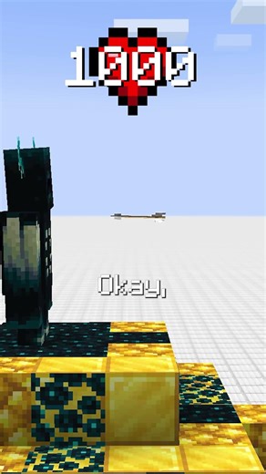 1000 HP Warden VS 1 Arrow