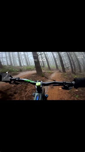 Switchblade Fog and Slick trails