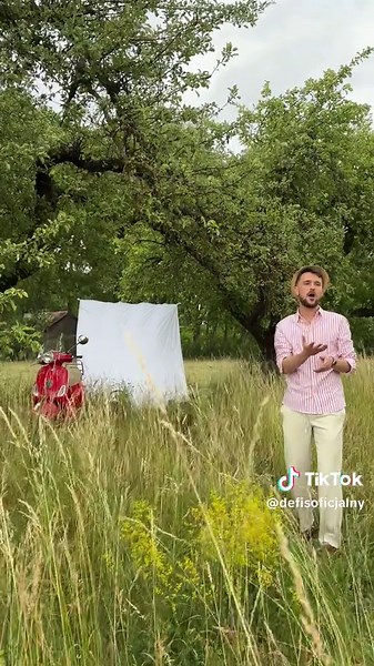 Defis: Te Piękne Oczy - Tekst i Interpretacja