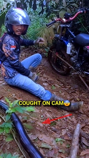 REST STOP Turns Into Pure Panic 😳🐍
