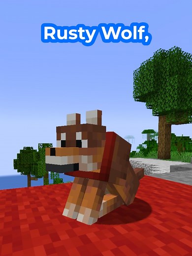 Minecraft FINALLY added more dogs! Which one is your favourite? After years of asking Mojang to add more Wolf varieties to the game, we finally have more good bois to join us on our adventures! 🐕 #Minecraft #MinecraftUpdate #MinecraftJava #MinecraftBedrock