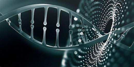 South Africa amended its research guidelines to allow for heritable human genome editing