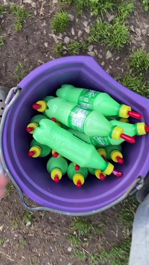 On today’s episode of 17 kids and counting… #fyp #viral #babygoat #bottlefeeding