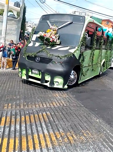 Chulo Boxer: A Celebration of Passion and Style