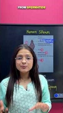 Ep03 | Class 12 Biology *Most IMPORTANT TOPICS* ✅🔥#biologyclass12 #class12biology #ektasonibiology