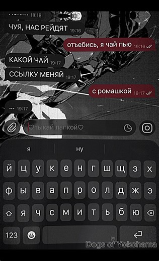 Exploring the Life of Stray Dogs in Yokohama