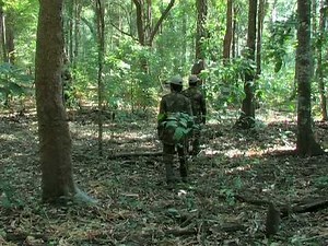 Segment 4 of 9: Monitoring Tigers - Line Transect PART 2