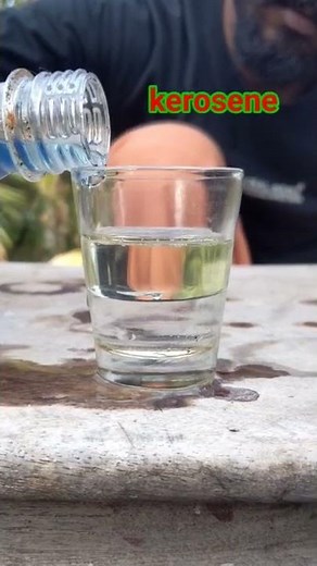 Density experiment using water, kerosene and oil | Simple experiments | #shorts