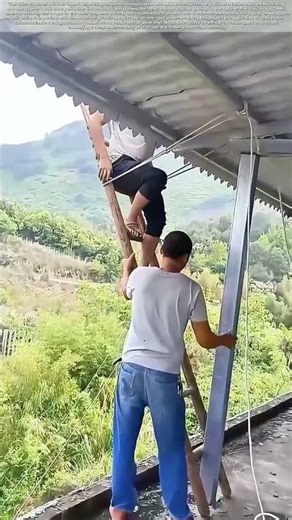 Defying Gravity: The Farmer's Reverse Ladder Solution