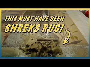 Straight Out Of Shrek's Swamp | Carpet Cleaning ASMR | Satisfying Video