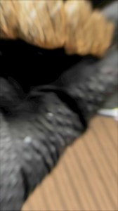 1.4K views · 7 comments | Come get your old grillz cleaned & restored. If you want to make some solids into opemfaces I can do that too !! Call 4058757030 to get an appointment booked today !! #goldteeth #grillz #goldgrillz #Oklahoma #rightshyne #openfaces #SummerVibes #TeethWhitening #jewelrydesigner | Right Shyne Grillz | Facebook