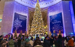 Christmas Around the World and Holidays of Light | Griffin Museum of Science and Industry